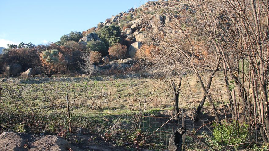 Tres meses tras el "infierno" de Navalacruz: "Nunca habíamos visto un fuego que corriese tanto"