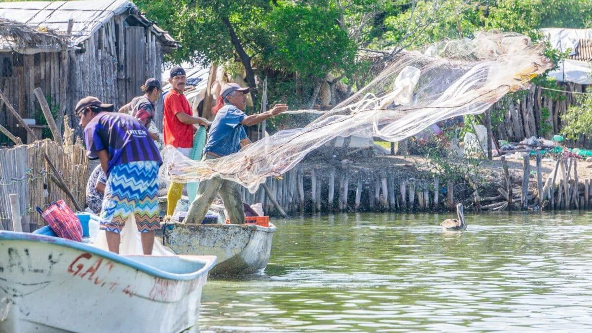Más de 333 000 personas en México dependen directamente de la pesca que se verá afectada por los efectos de El Niño. Foto: cortesía Comisión Nacional de Acuacultura y Pesca