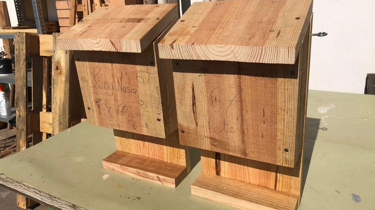 Cajas que se instalarán.