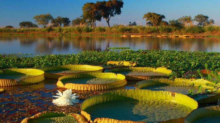 Diputados aprobó la creación de parques Nacionales en Rio Negro y Córdoba y la ampliación del Pre-Delta