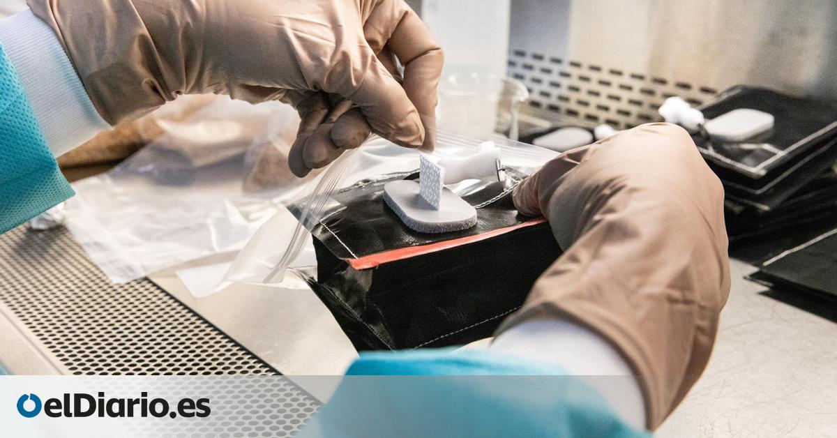 Del espacio al plato: la NASA prueba nuevos cultivos para alimentar a los astronautas