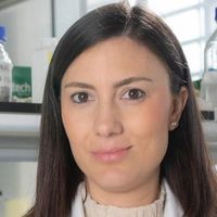 María Luisa Domingo Calap