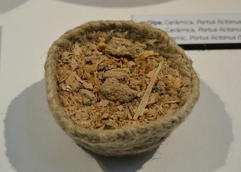 Restos de garum, cetaria de Santa Pola (siglo IV).