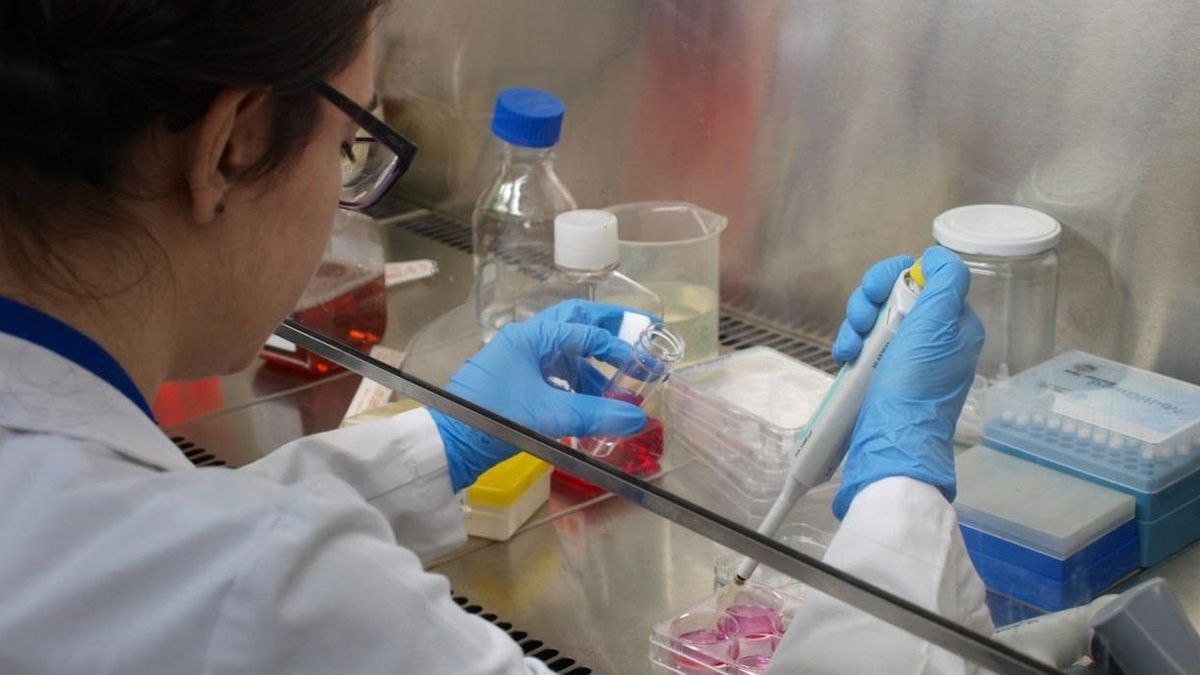 La Universidad de Granada impulsa investigaciones sobre Covid-19 desde todos los campos