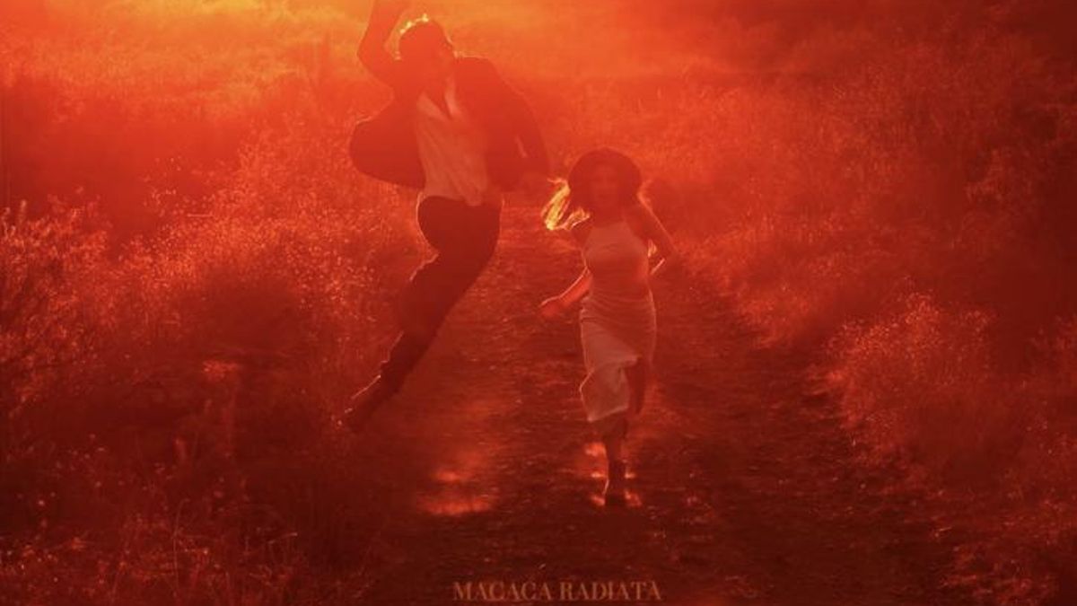 La banda palmera Macaca Radiata presenta ‘Trescientos mil pedazos’, adelanto de ‘Revolución’, su próximo  álbum