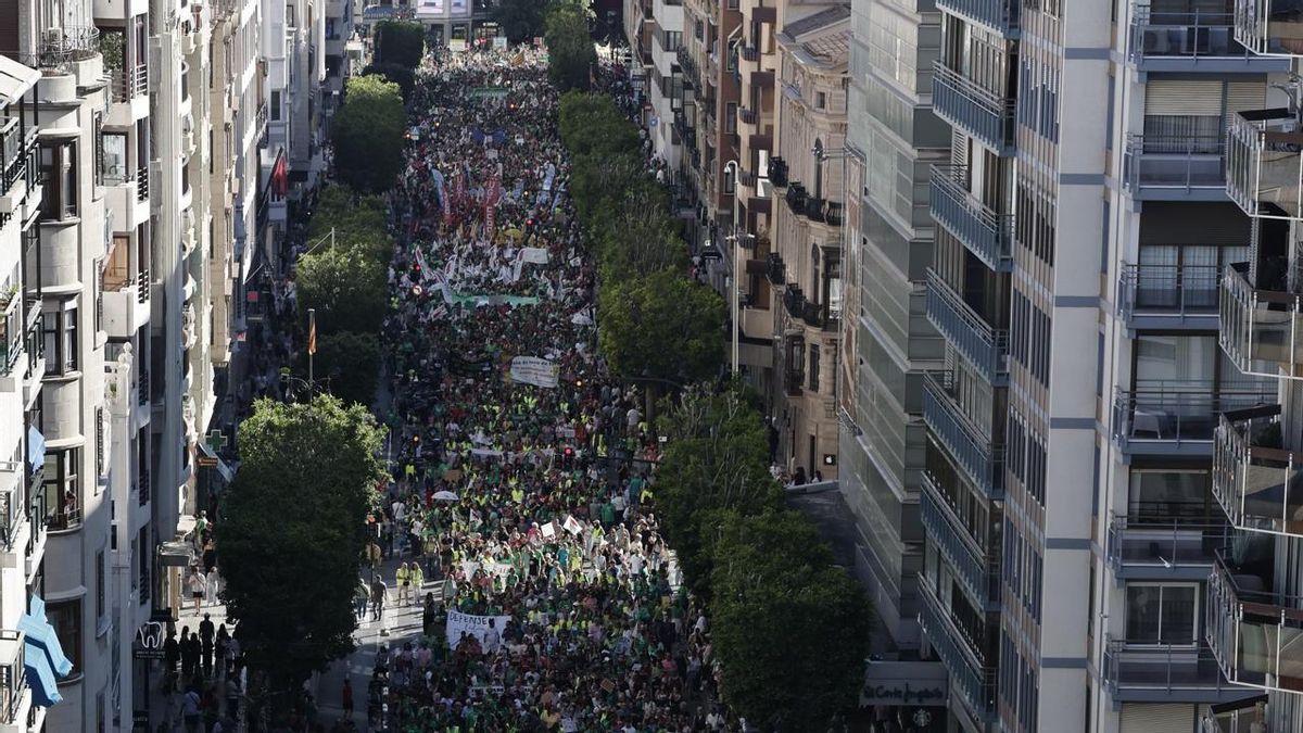 Decenas de miles de docentes, familias y alumnos, unidos contra el Consell de Pérez Llorca en una manifestación histórica por la educación pública