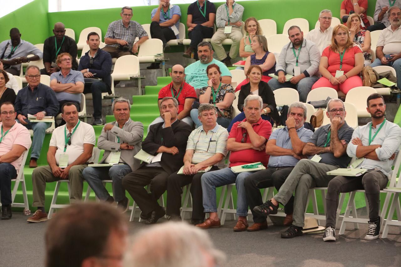 IV Congreso Nacional de Nueva Canarias. (Alejandro Ramos)