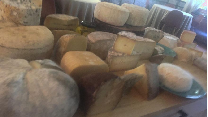 Castilla-La Mancha coloca 24 quesos entre los 90 que van a la final del Mejores de España 2022 en el Salón Gourmet