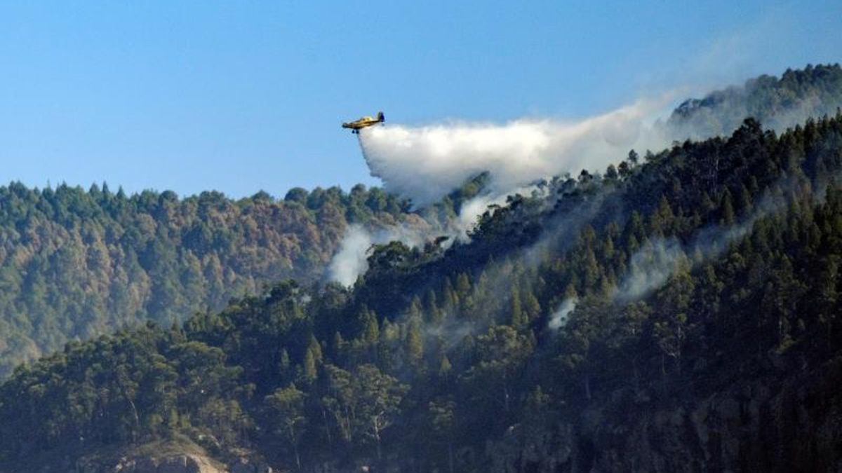 El Gobierno canario declara la alerta por riesgo de incendios en las islas occidentales y Gran Canaria