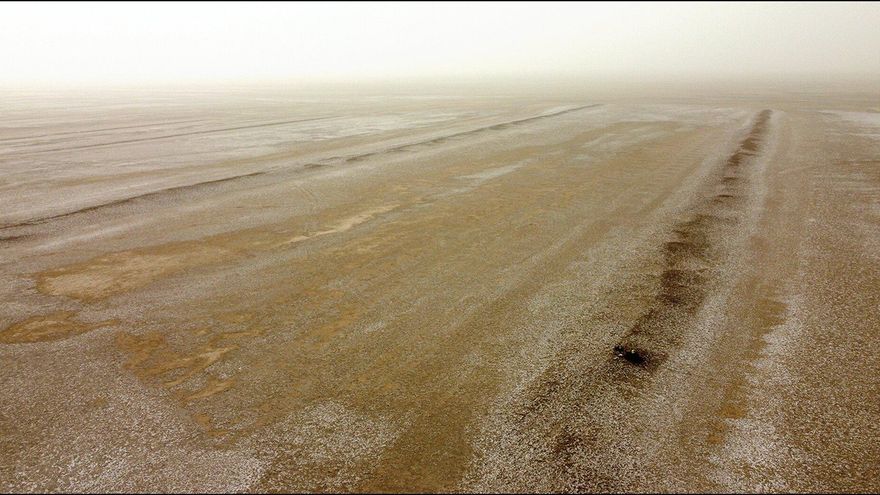 Una revuelta de esclavos africanos y un sistema agrícola ancestral cambian la historia de Irak medieval