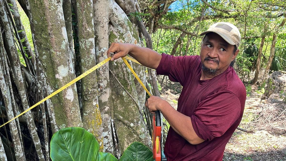 Antes y después de Magallanes: tras las huellas de un contacto que conmocionó las islas del Pacífico