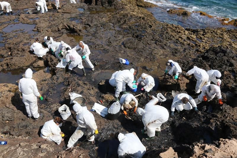 Limpieza de piche en la grancanaria playa de El Cabrón. (Maspalomas Ahora).