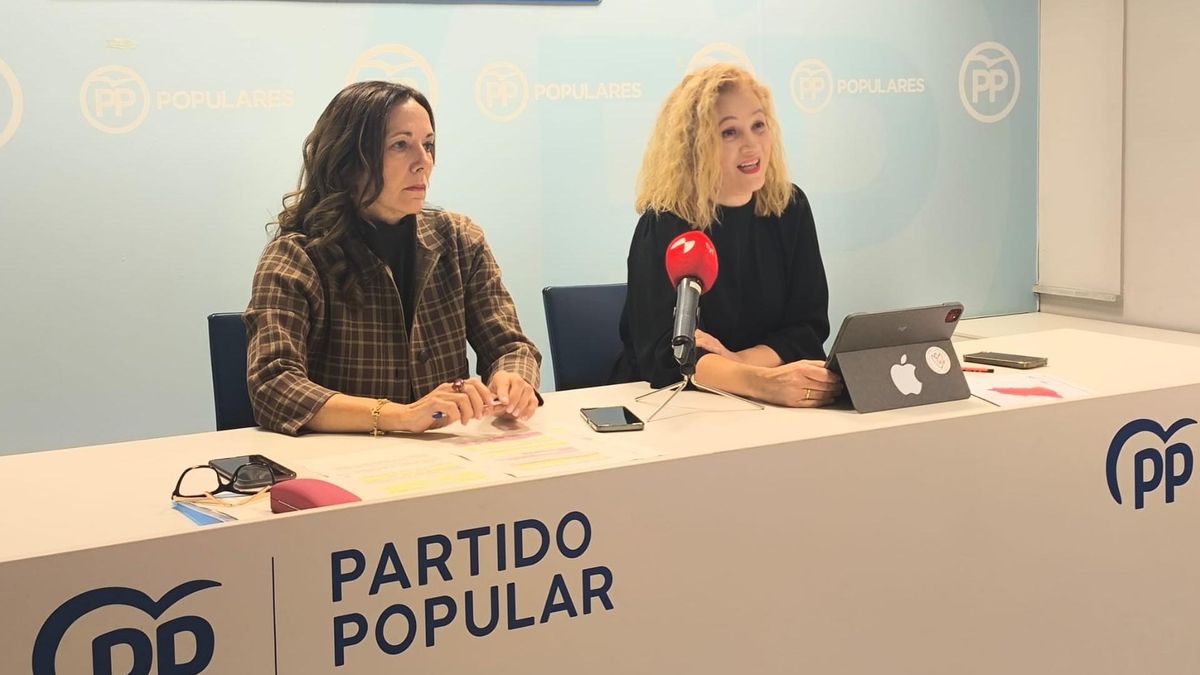 El PP cree que la parálisis eléctrica del Gobierno estrangula la economía de la provincia leonesa y pide mejoras