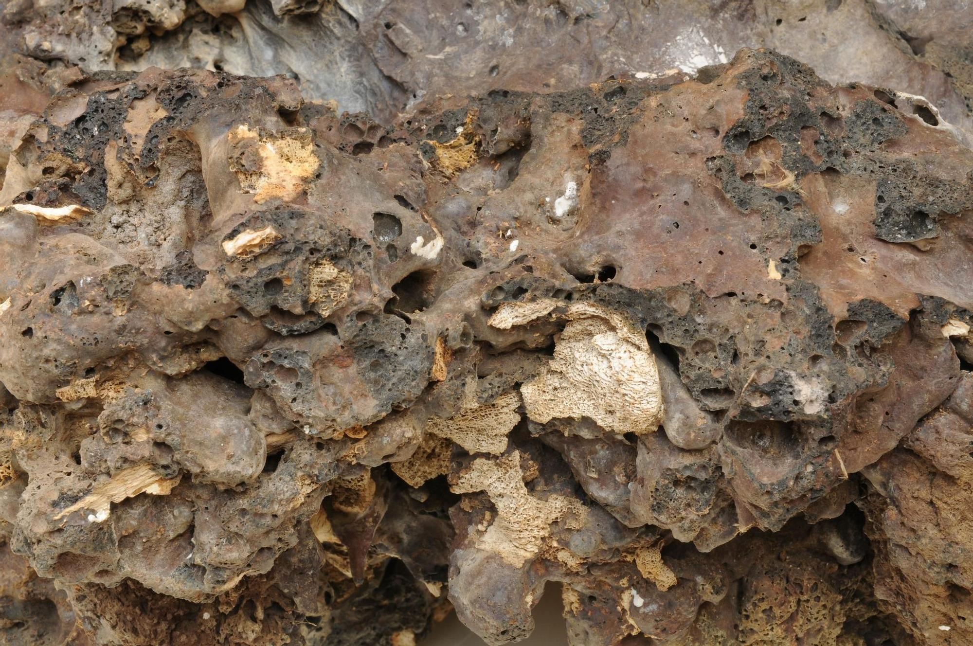 Restos humanos en un bloque de lava en la necrópolis de La Cucaracha de Villa de Mazo. Foto: JORGE PAIS