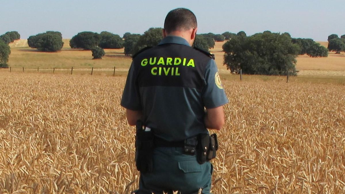 La Guardia Civil de Zamora investiga a dos personas por simular que tenían alquilado un terreno para defraudar en las ayudas de la PAC