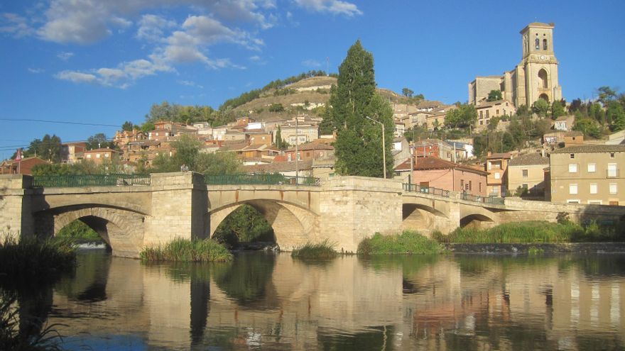 Un vertido de amonio causa la muerte de centenares de peces en el río Arlanzón en Burgos