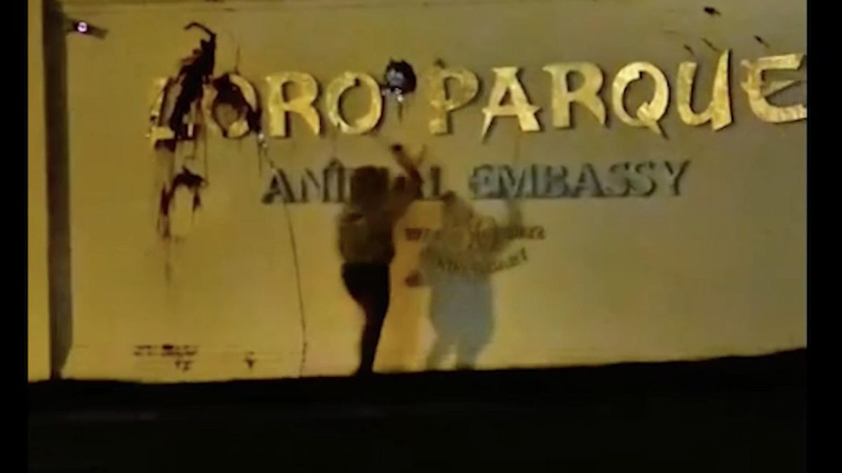Pintadas en Loro Parque. (Guardia Civil)