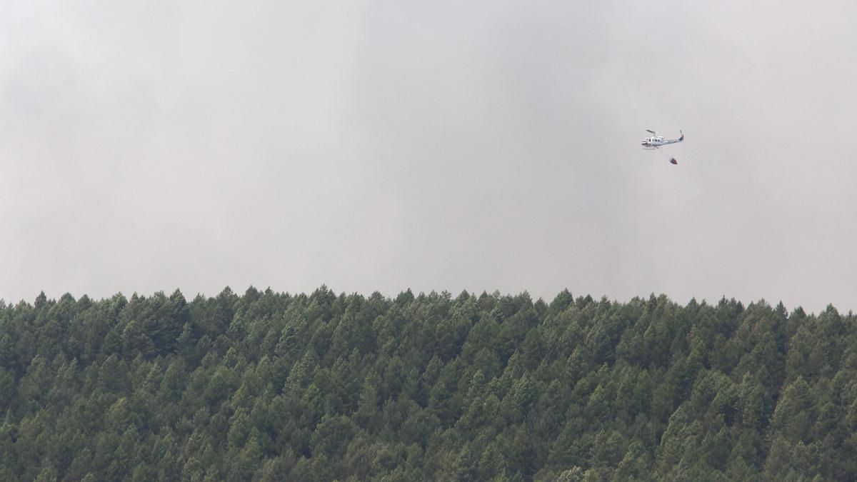 Expertos de la Universidad de Málaga prescriben más prevención y “mucha ciencia” para combatir los incendios