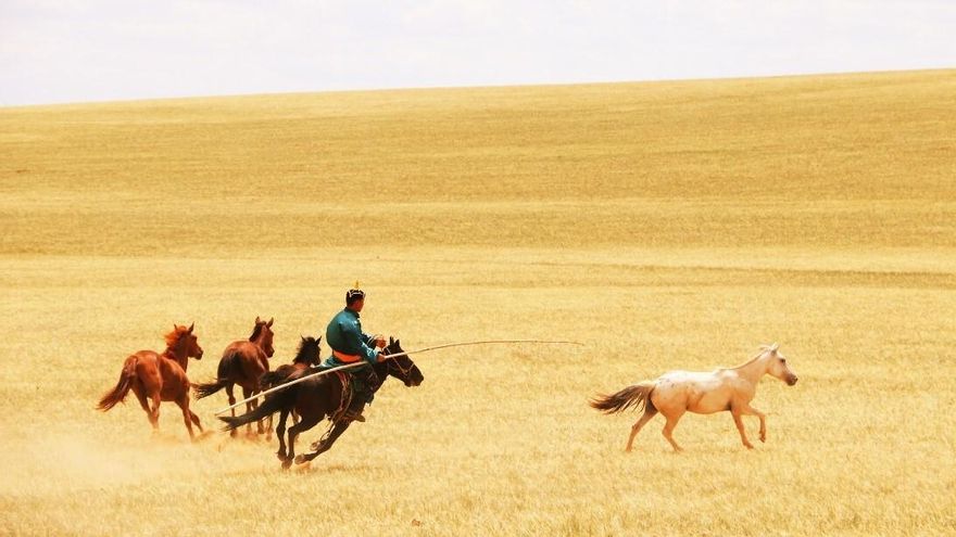 Los caballos fueron domesticados dos veces: la segunda transformó el mundo