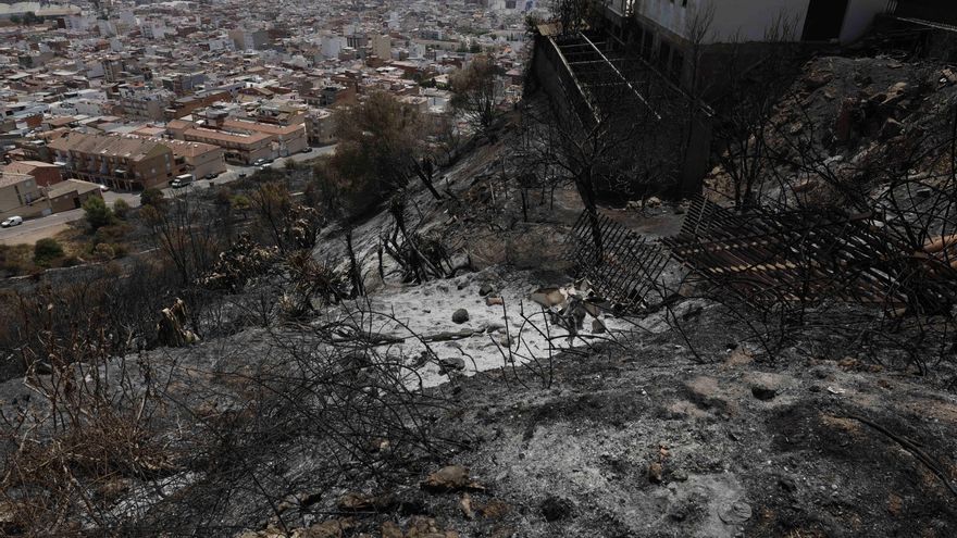 Tierra quemada durante los incendios en la Vall d'Uixó.