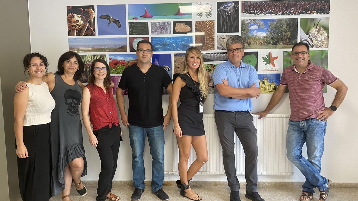 Los investigadores implicados en el artículo