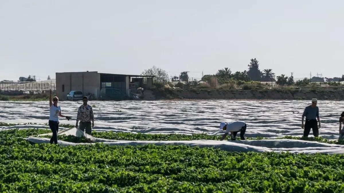 El PP propone eliminar la obligatoriedad de certificar que agricultores y ganaderos del Mar Menor cumplen la ley