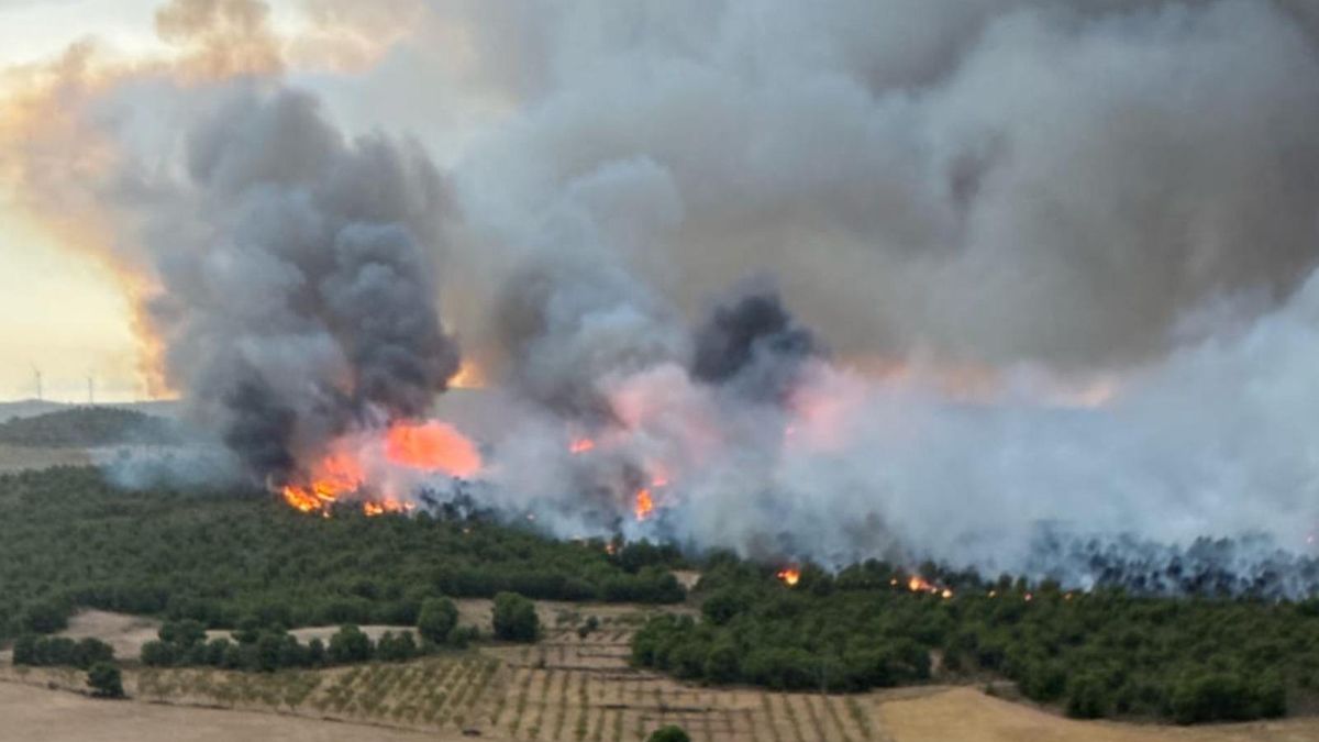 La lucha contra los incendios