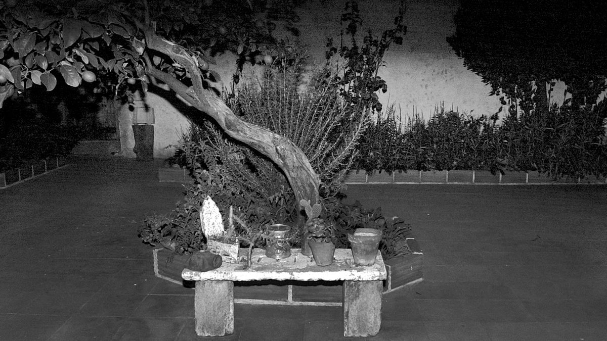 Hubo una vez un patio