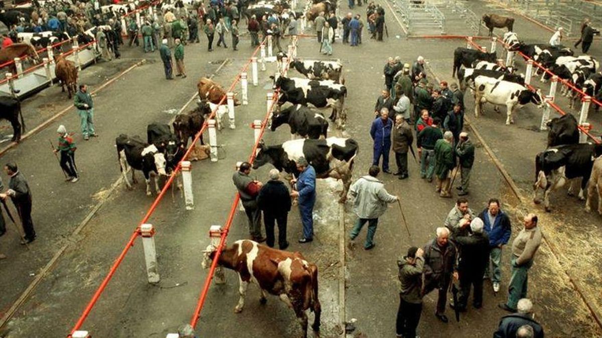 Mercado Nacional de Ganados de Torrelavega.