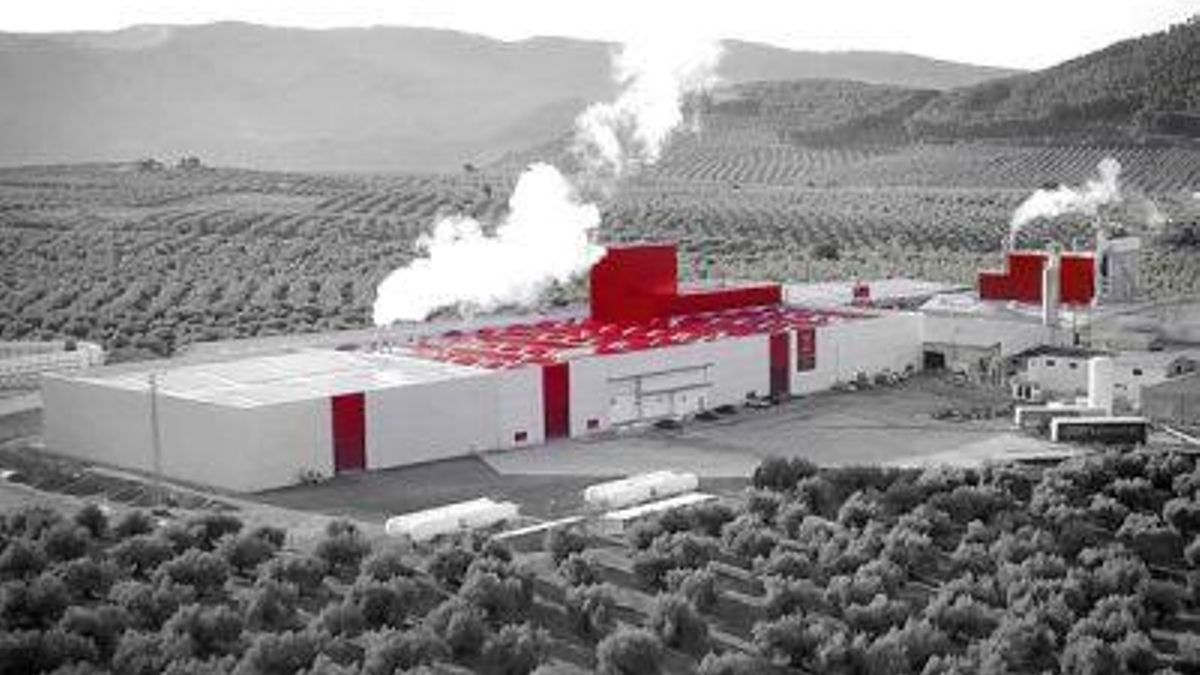 Escayescos, la empresa jienense que produce y vende placas de yeso entre campos de olivos