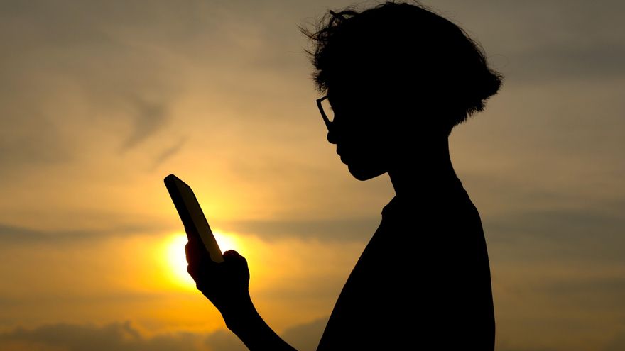 El Tribunal de Justicia de la UE avala que los gobiernos obliguen a las webs porno a verificar la edad de sus usuarios