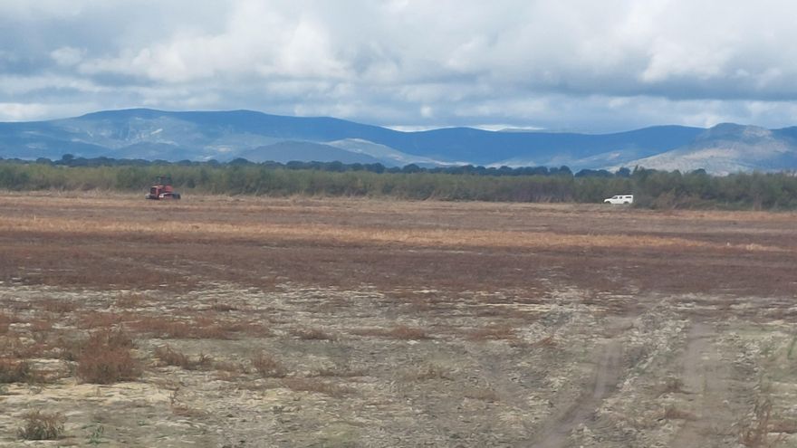 Nuevos sondeos de emergencia en las Tablas de Daimiel para impedir que vuelva a arder el subsuelo
