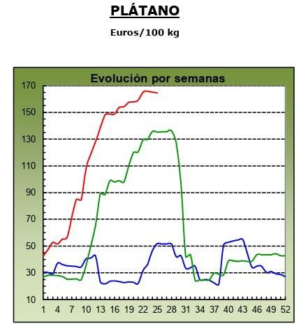Evolución de los precios medios percibidos por el platanero canario en 2023 (marca azul), 2024 (verde) y 2025 (roja, hasta la semana 25). Fuente: MAPA.