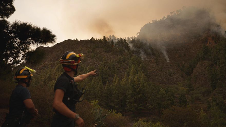 Varios bomberos analizando el terreno para acometer las labores de extinción del incendio de Tenerife.