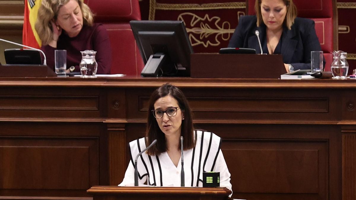 La parlamentaria de Nueva Canarias-Bloque Canarista (NC-BC) Natalia Santana, en el Parlamento regional.