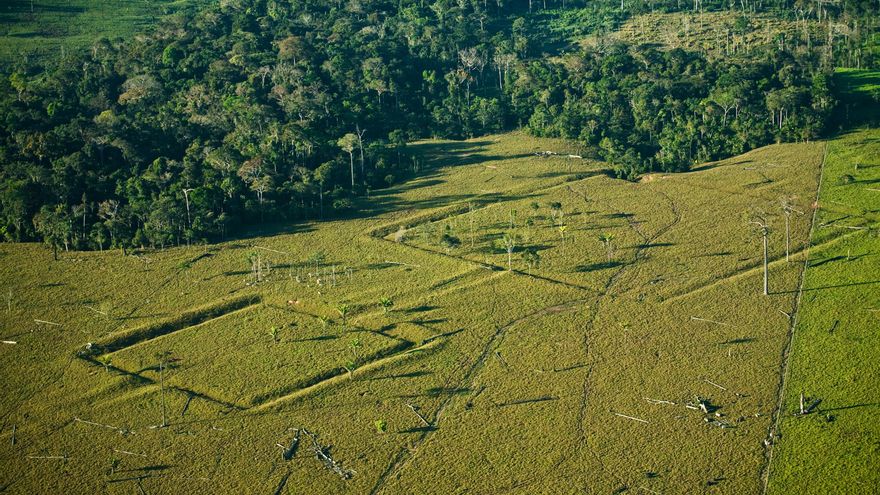 La Amazonía albergaría más de 10.000 sitios arqueológicos por descubrir