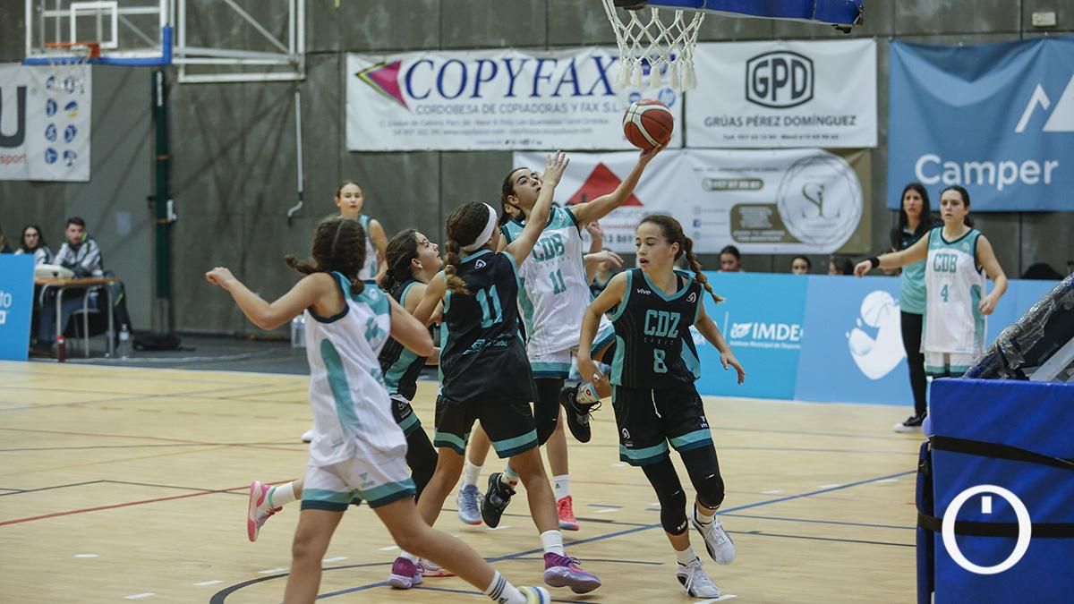 Finales del campeonato de andalucía de minibasket femenino