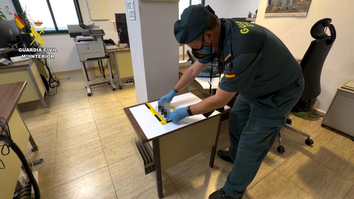 La Guardia Civil durante la operación en la provincia de Córdoba