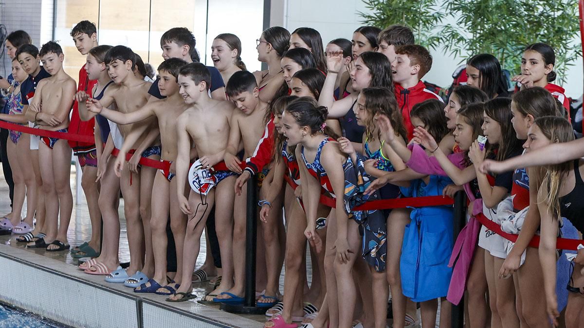 XV Trofeo Ciudad de Córdoba de Natación