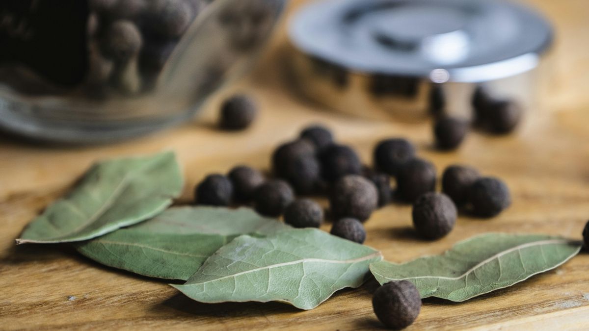 El vinagre limpia y desinfecta, y el laurel ayuda a quitar olores