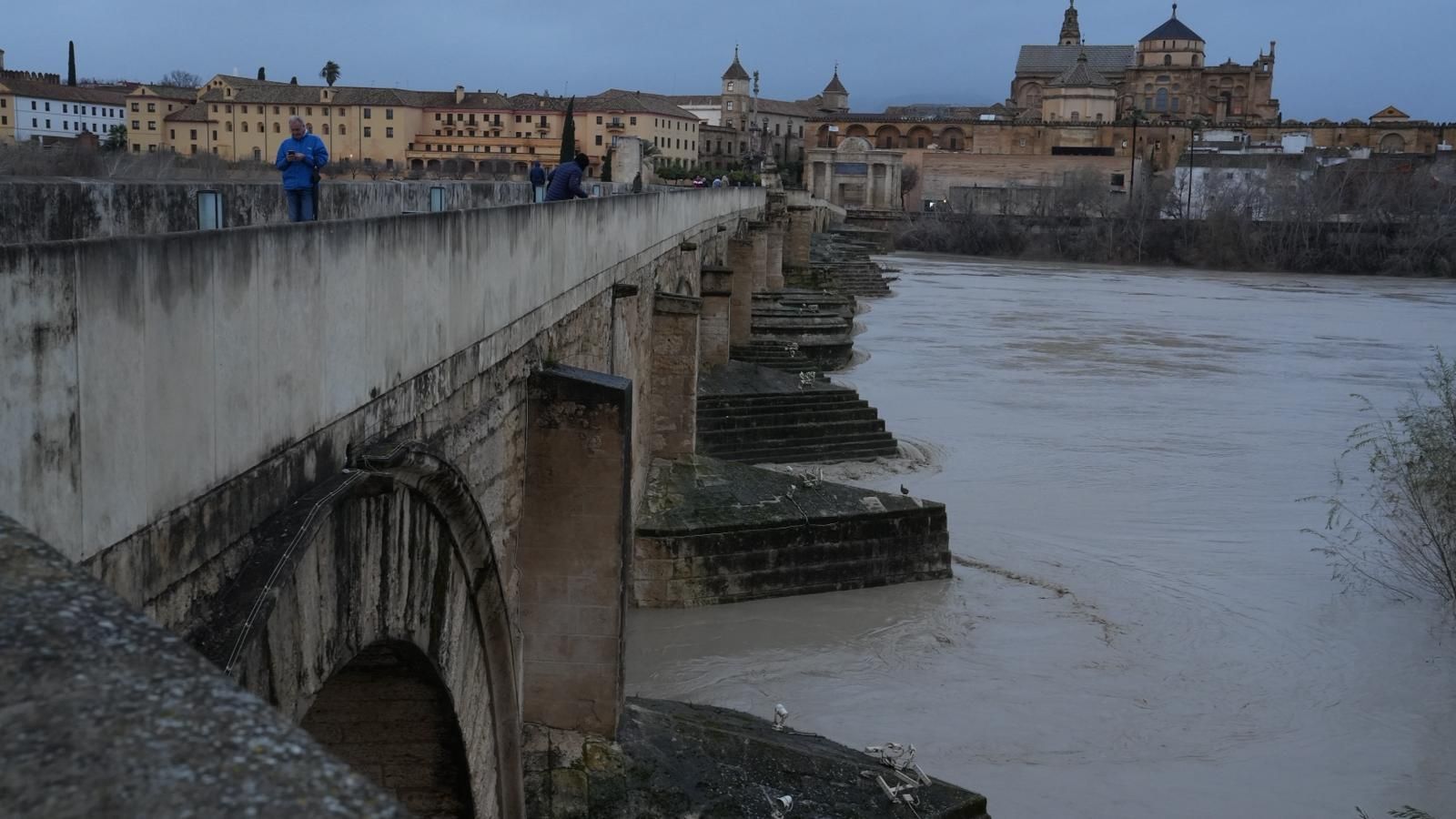 El estado del río Guadalquivir este jueves