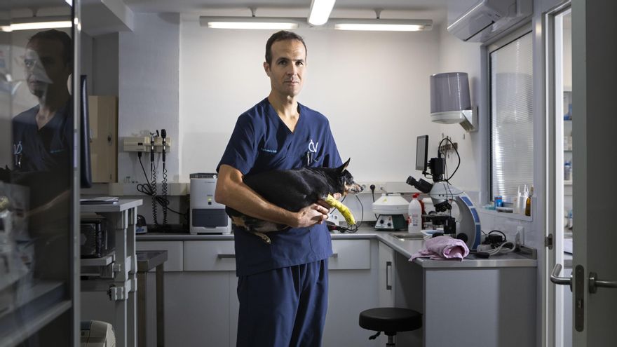 Fernando Mir, propietari de la Clínica Sant Fernando: "Cadascú té la seva política i la seva visió, però, per a mi, el fet de no pertànyer a un grup em permet més llibertat de decisió i créixer una miqueta a poc a poc el que hagi de créixer"