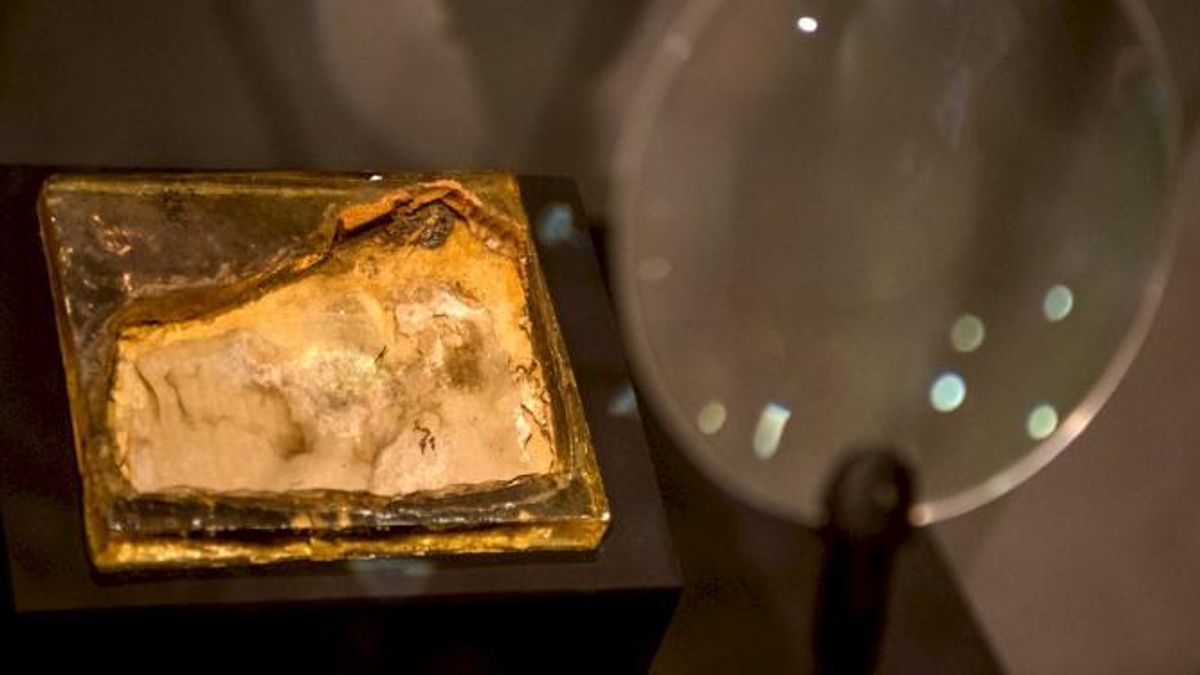 Fragmento del cráneo hallado en Las Hoyas