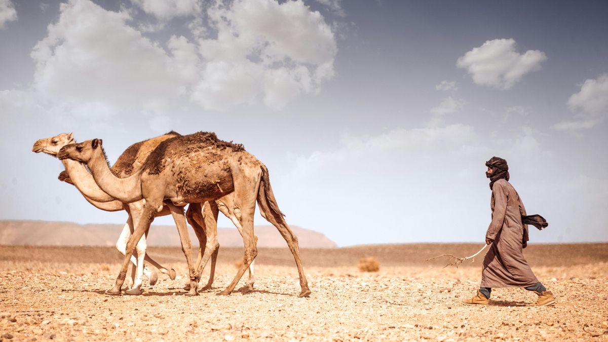 Como pastores en el planeta Arrakis: los humanos se adaptaron al desierto gracias a un gen que les ayudó a retener la orina