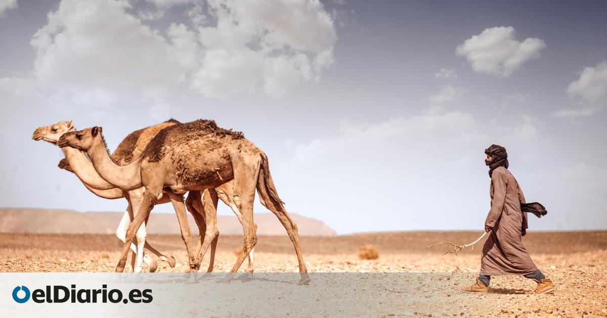 Como pastores en el planeta Arrakis: los humanos se adaptaron al desierto gracias a un gen que les ayudó a retener la orina