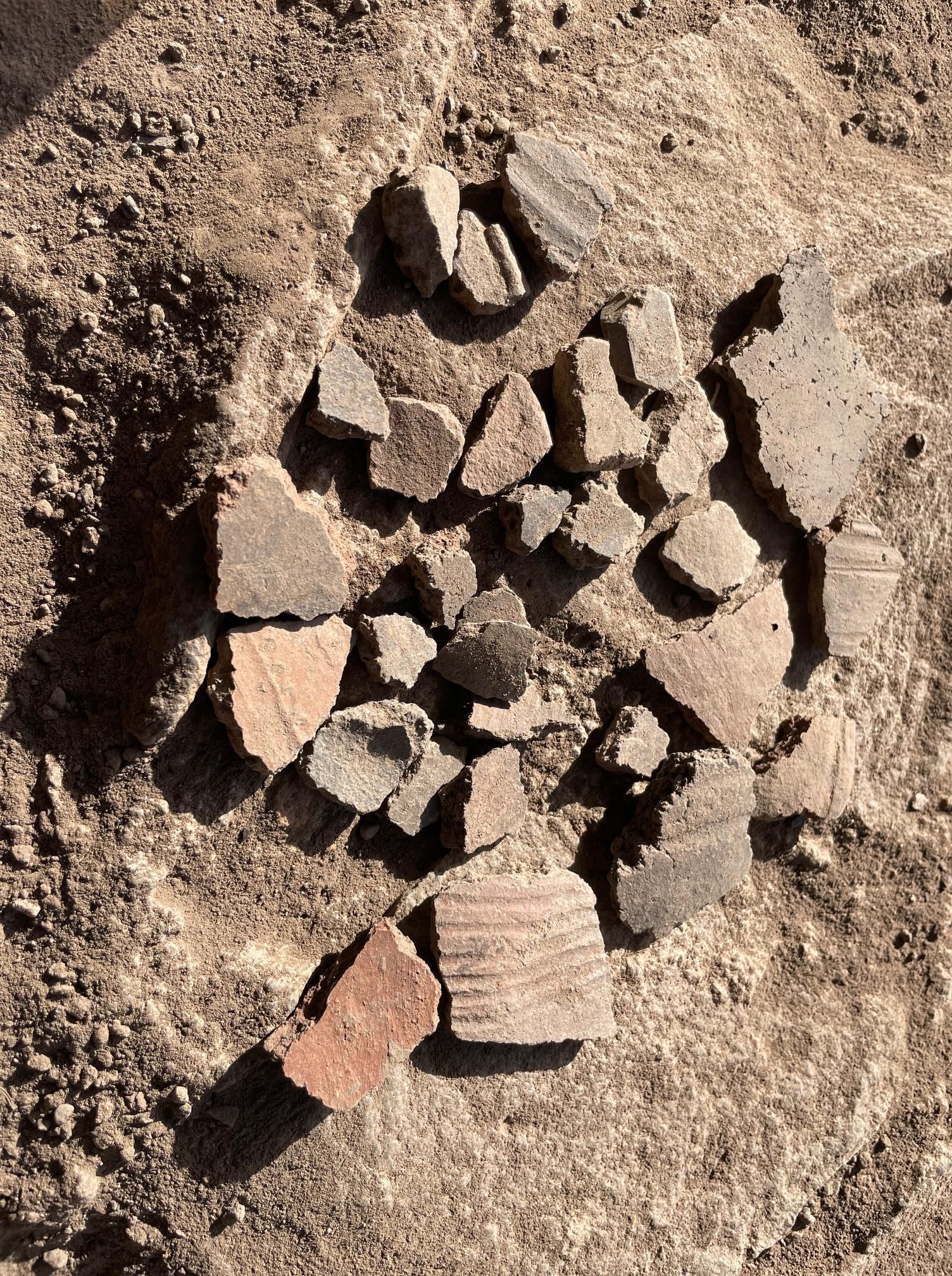Restos arqueológicos de la Cueva del Tendal. JORGE PAIS