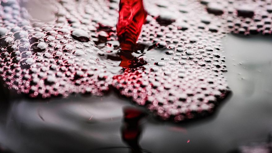 ¡Que viene Trump!: incertidumbre y temor en los sectores del vino y el aceite por los aranceles