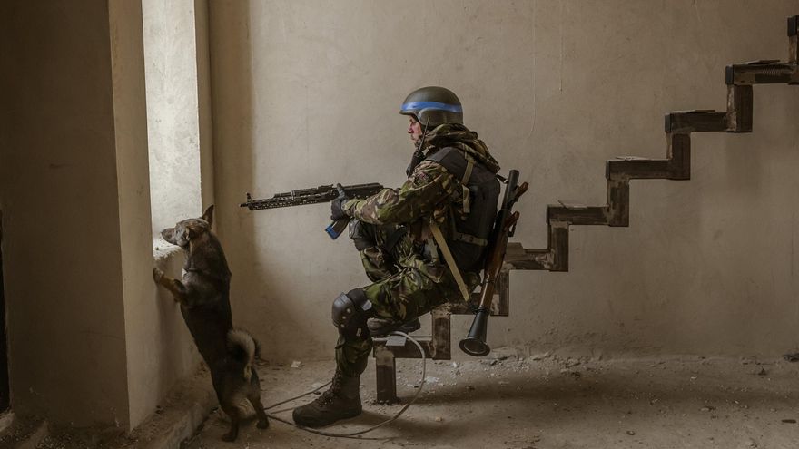 Un perro callejero siguió a los combatientes ucranianos que se refugiaban dentro de un edificio después de escuchar disparos durante una operación para expulsar a las fuerzas rusas. Irpin, Ucrania, 29 de marzo de 2022. © Daniel Berehulak para The New York Times / MAPS