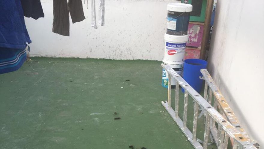 Azotea de la vivienda.