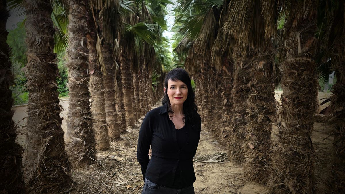 Lluci Juan, fer parlar el fang